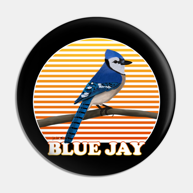 Bird Spotlight: Blue Jay - Junior Ornithologists
