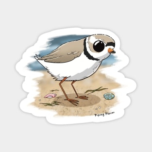 Piping Plover, endangered species Magnet