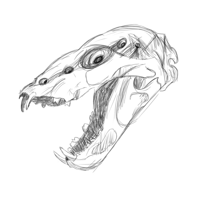 Animal Skull Sketch by Abby