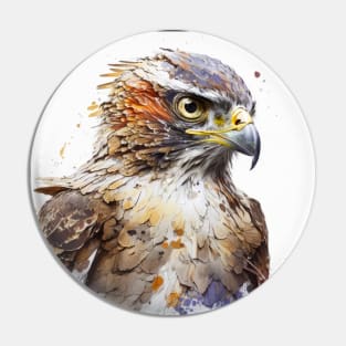 Falcon Bird Portrait Animal Painting Wildlife Outdoors Adventure Pin