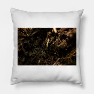 Rotting Wood Pillow