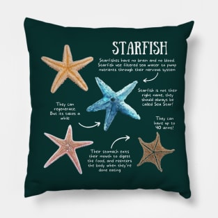 Animal Facts - Starfish Pillow