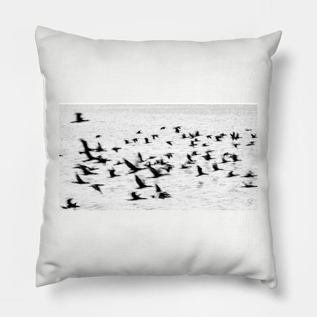 Birds in motion - flight. Pillow by brians101