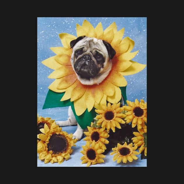 Pug Dog Sunflower by candiscamera