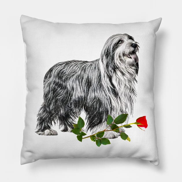 Valentines Bearded Collie Dog with Red Rose Pillow by NikkiBear67