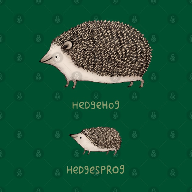 Hedgehog Hedgesprog by Sophie Corrigan