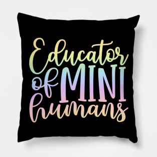 Educator - funny teacher joke/pun Pillow