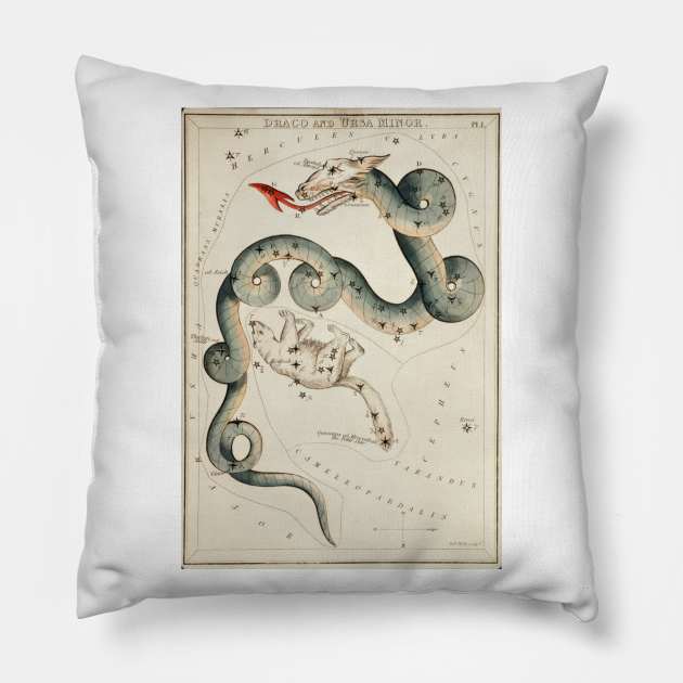 Draco Constellation Pillow by Big Term Designs