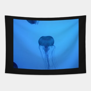 Blue Silhouetted Jellyfish Photo Print And Others Tapestry