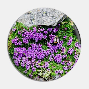 Mountain flowers Switzerland bumblebee / Swiss Artwork Photography Pin