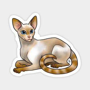 Cat - Siamese - Flame Point Magnet