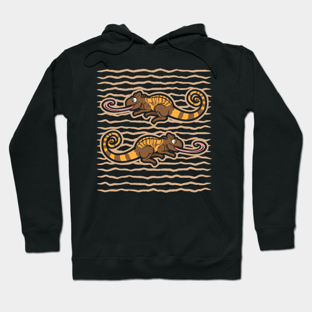 chameleon sweater