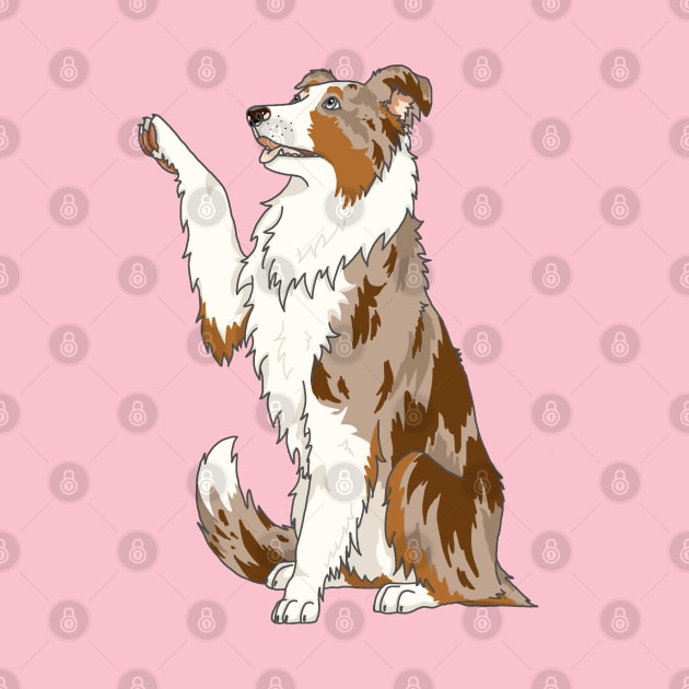 Red tri color merle border collie by The Christmas Lady