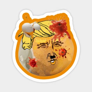 Rotten Orange - Dump tRump - Back Magnet