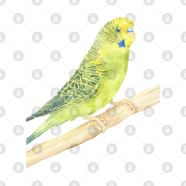 green and yellow budgie watercolor portrait by Oranjade0122