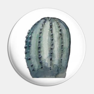 Lonely Cactus Pin