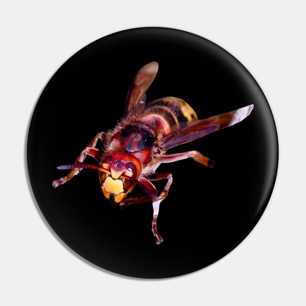 Hornet Pin by Wolf Art / Swiss Artwork Photography