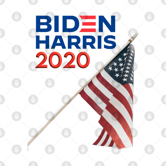 Biden Harris 2020 US Flag by FasBytes