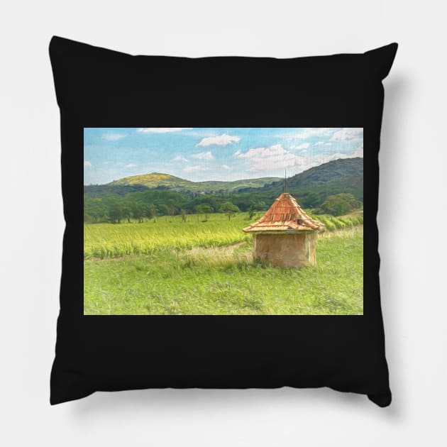 A Vineyard In Languedoc Pillow by IanWL