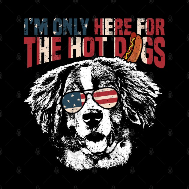 Bernese Mountain Dog Shirt Funny 4th of July by Madfido
