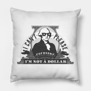 I can't please everyone. I'm not a dollar! / vintage Pillow