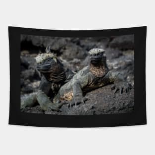 Marine Iguana, Isla Fernandina, Galapagos Islands Tapestry