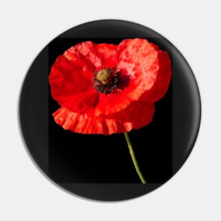 Poppy Pin