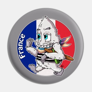 Are we there YETI? France Pin