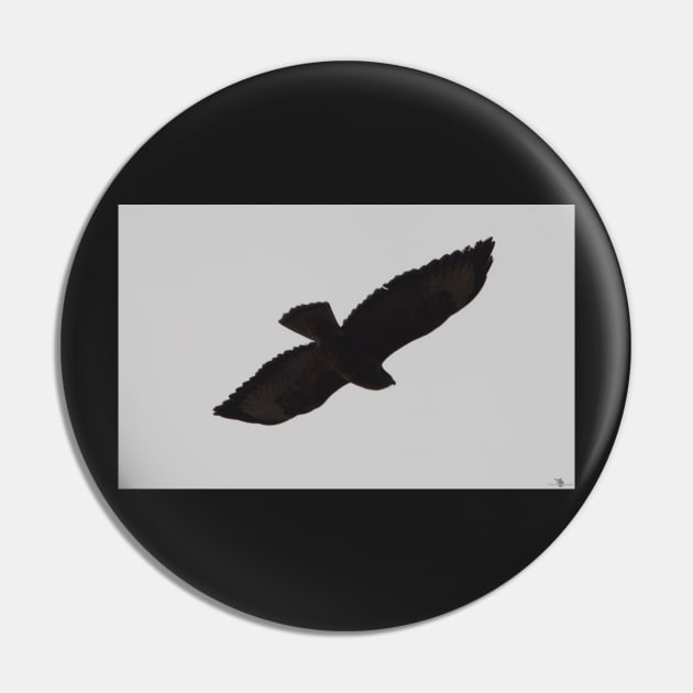 Buzzard Silhouette Pin by Simon-dell