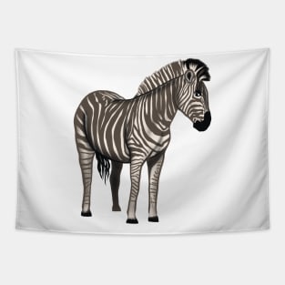 Zebra Tapestry