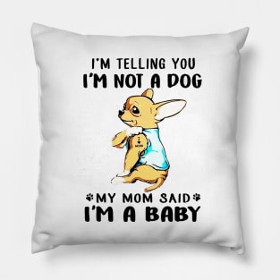 A Baby Cute Chihuahua Pillow