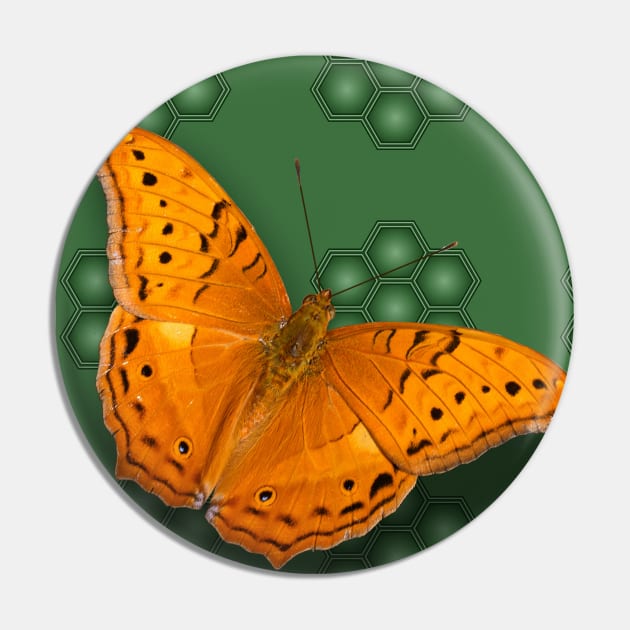 Beautiful orange butterfly on green pattern background Pin by hereswendy