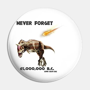 Never Forget Pin