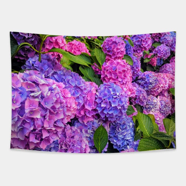 Hydrangeas at the Victoria & Albert Museum Tapestry by zealology