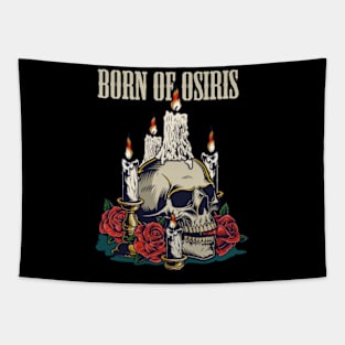 BORN OF OSIRIS VTG Tapestry