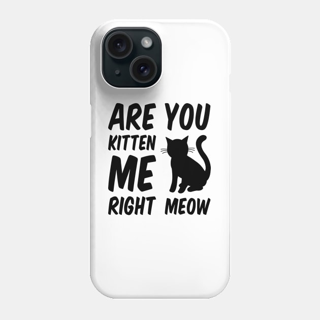 Are You Kitten Me Right Meow Phone Case by Everydayoutfit