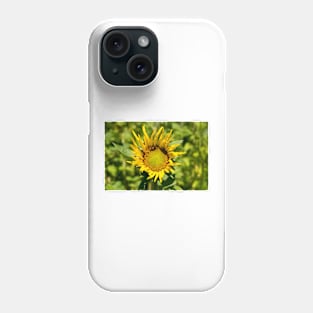 llb brisk sunflower Phone Case