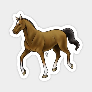 Horse - Thoroughbred - Brown Magnet