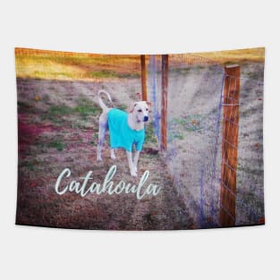 Stunning Catahoula Leopard Dog Tapestry