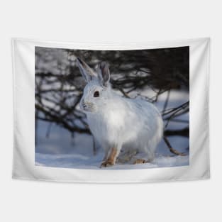 Snowshoe hare Tapestry