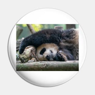 Panda Nap Time Pin