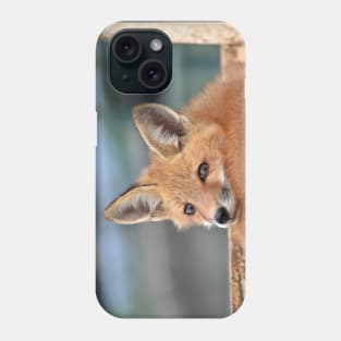 Red Fox Kit Phone Case