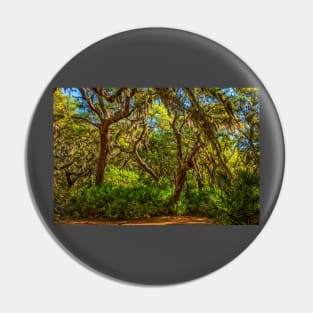 Cumberland Island National Seashore Pin