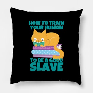 How To Train Your Human To Be A Good Slave Cat And Books Pillow