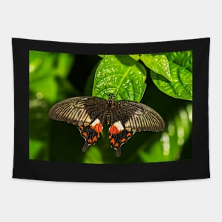 Butterfly on a Leaf Tapestry