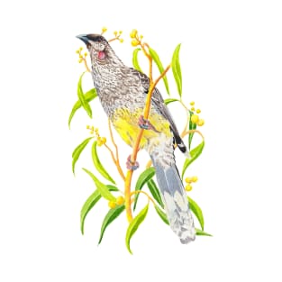 Red Wattlebird and yellow wattle flowers T-Shirt