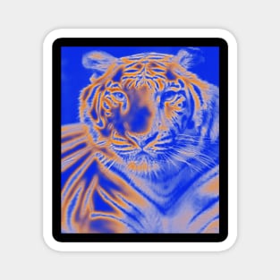 White Tiger from India - Orange colour Magnet