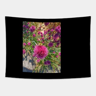 Allium Patient BEE Tapestry