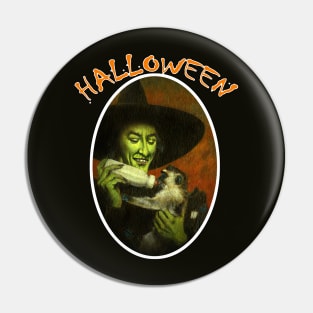 Halloween Witch And Monkey Pin