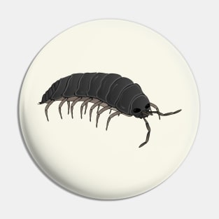 Woodlouse isopode earth shellfish Pin